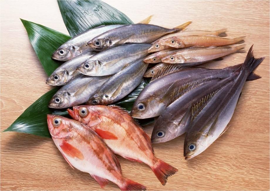 Начал действовать новый регламент ЕАЭС о рыбе