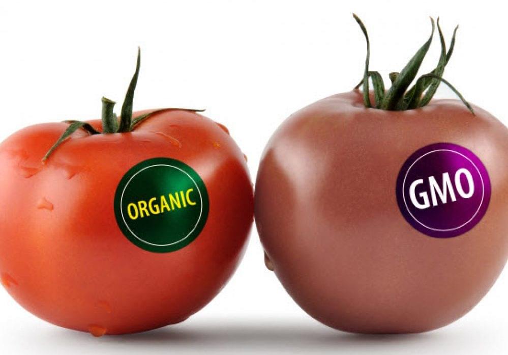 Изменения в требованиях по маркировке продукции с ГМО