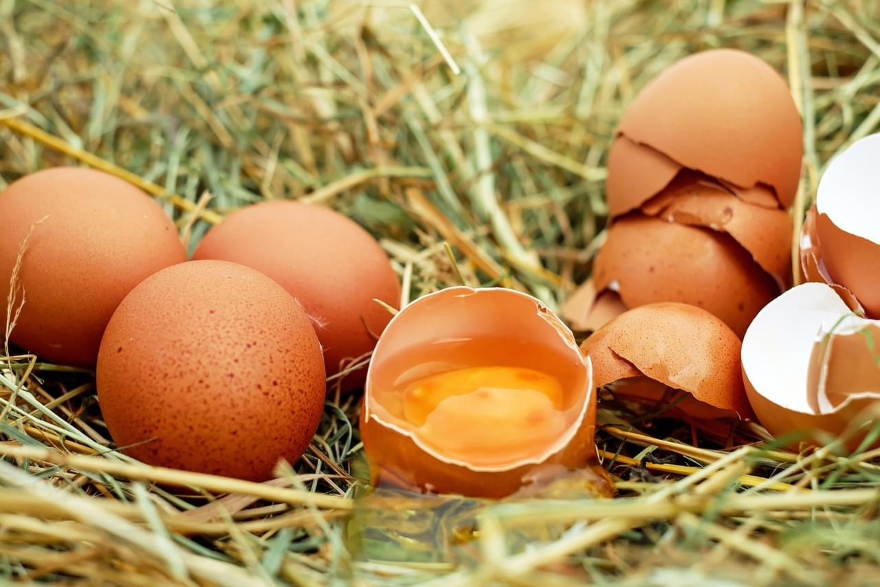 Получение декларация соответствия на куриные яйца в России