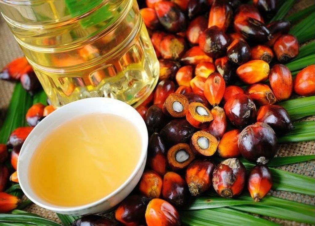 Разрабатываются новые меры по ограничению использования пальмового масла